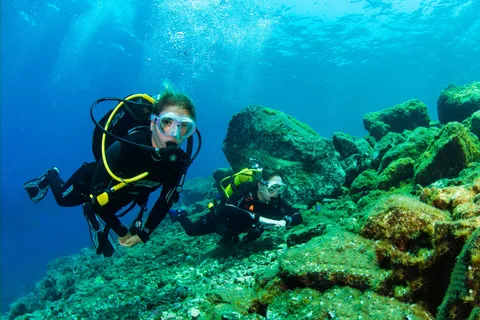 Tenerife: Introductory Dive for Cruise Ship Passengers