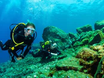 Tenerife: Inmersión introductoria para cruceristas