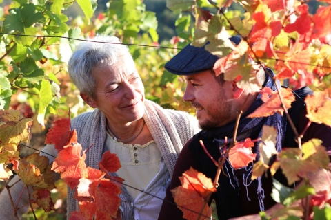 Alsace : Visite de caves et dégustationExpérience à l'aveugle et visite d'un domaine viticole