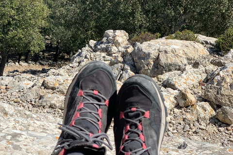 Expérience de la randonnée dans la Sierra de TramuntanaSierra de Tramuntana - randonnée hivernale