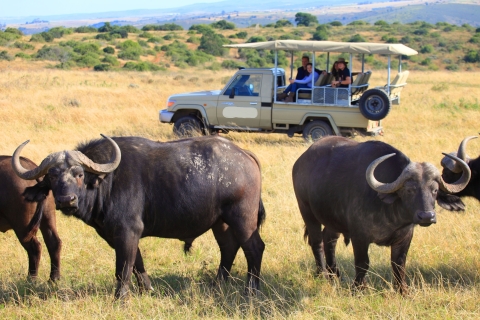 Safari de 5 días en camping por Masai Mara, el lago Nakuru y el lago Naivasha