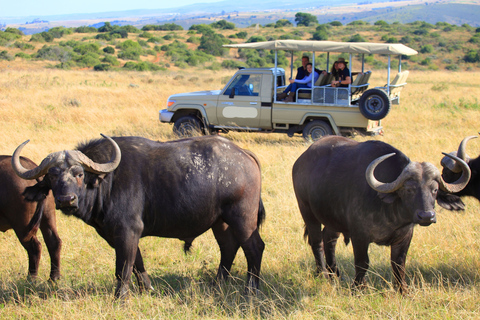 Från Nairobi: 5-dagars nationalparksafari med campingRundresa utan varmluftsballongtur