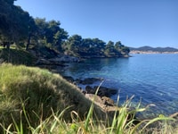 Zadar, Half-Day Boat Trip to Ošljak Island, Galevac & Ugljan - Housity