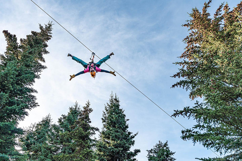 Akureyri: Zipline Tour