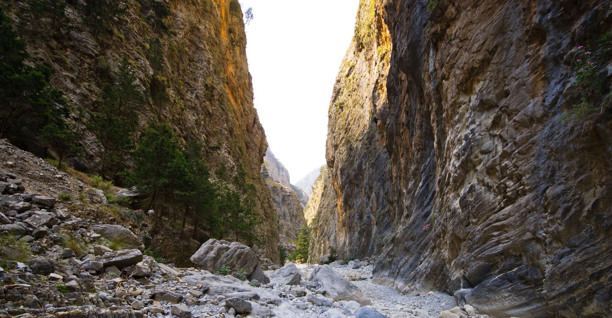 Von Chania/Rethymno, Samariá Schlucht geführt Wanderung mit Pickup - Hizvo