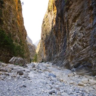From Chania or Rethymno: Samariá Gorge Guided Hike