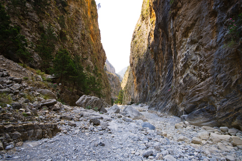 De Chania/Rethymno: Caminhada guiada pelo desfiladeiro de Samariá com trasladoSamariá Gorge Caminhada de Rethymno