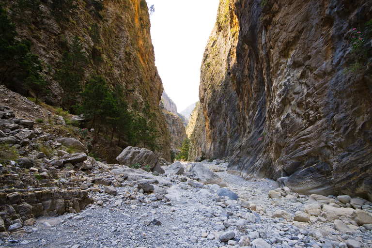 From Chania/Rethymno: Samariá Gorge Guided Hike with PickupSamariá Gorge Hike from Chania