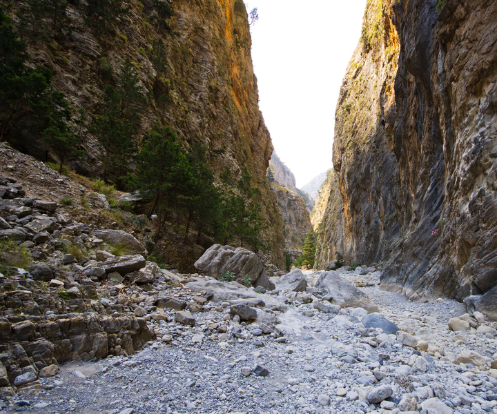 From Chania or Rethymno: Samariá Gorge Guided Hike