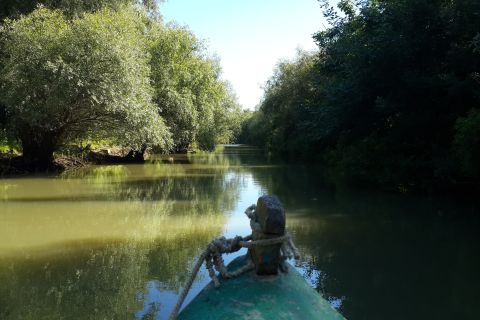 From Bucharest: 3-Day Danube Delta Birdwatching Private Tour