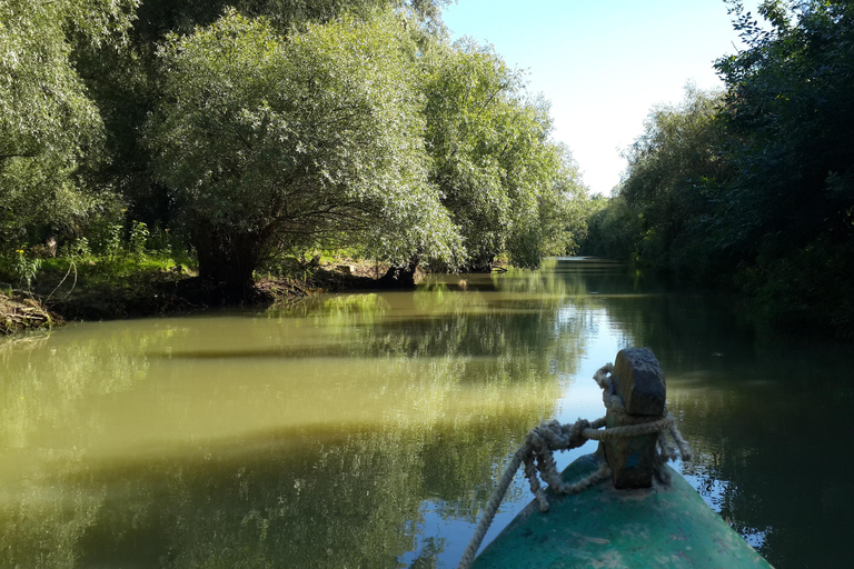 From Bucharest: 3-Day Danube Delta Birdwatching Private Tour