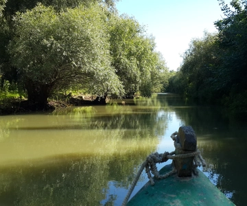 De Bucareste: Tour particular de 3 dias para observação de aves no Delta do Danúbio