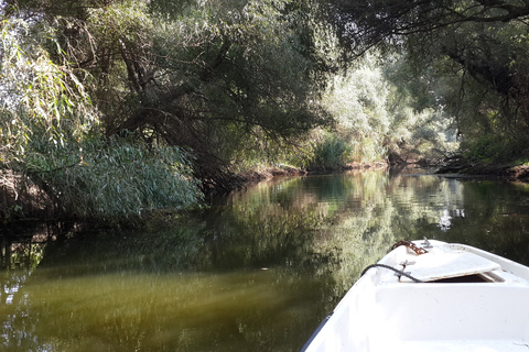 From Bucharest: 3-Day Danube Delta Birdwatching Private Tour