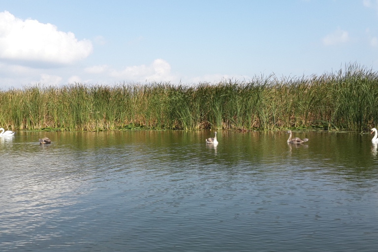 Von Bukarest aus: 3-tägige private Tour zur Vogelbeobachtung im Donaudelta