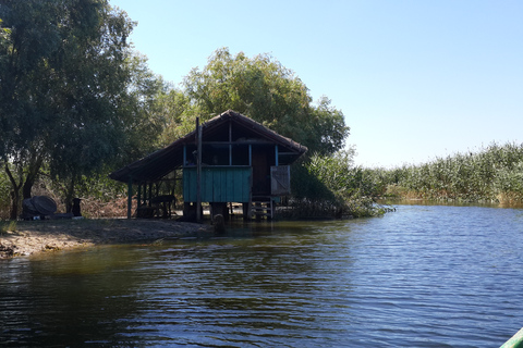 From Bucharest: 3-Day Danube Delta Birdwatching Private Tour