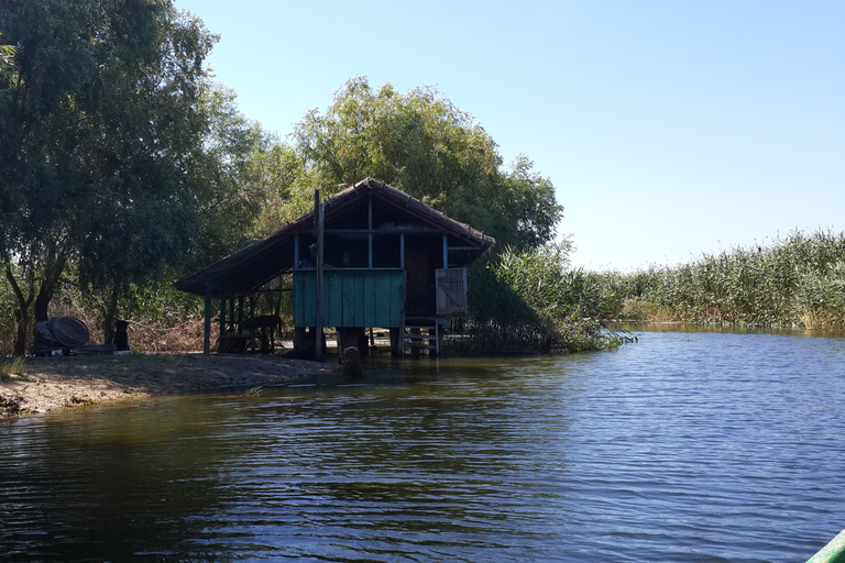 From Bucharest: 3-Day Danube Delta Birdwatching Private Tour