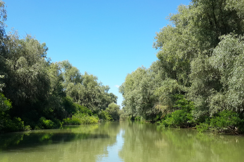 From Bucharest: 3-Day Danube Delta Birdwatching Private Tour