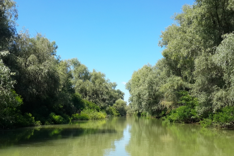 Van Boekarest: 3-daagse Donau Delta Birdwatching privétour