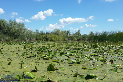 From Bucharest: 3-Day Danube Delta Birdwatching Private Tour
