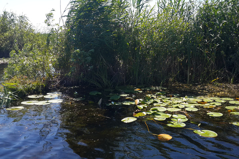 From Bucharest: 3-Day Danube Delta Birdwatching Private Tour