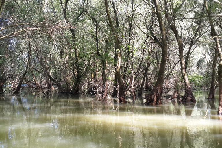 From Bucharest: 3-Day Danube Delta Birdwatching Private Tour