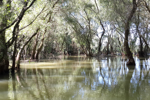 From Bucharest: 3-Day Danube Delta Birdwatching Private Tour
