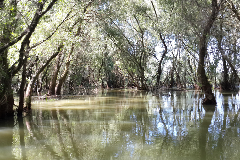 From Bucharest: 3-Day Danube Delta Birdwatching Private Tour