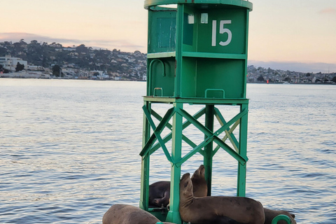 San Diego: San Diego Bay zonsondergang en zeilervaring overdagZeilervaring op de baai van San Diego