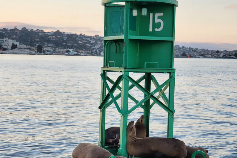 San Diego: San Diego Bay zonsondergang en zeilervaring overdagZeilervaring op de baai van San Diego