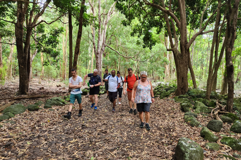 Flic en Flac: Prywatna wycieczka z przewodnikiem po Dolinie Czarnej RzekiPrywatna wycieczka z przewodnikiem po Black River Valley