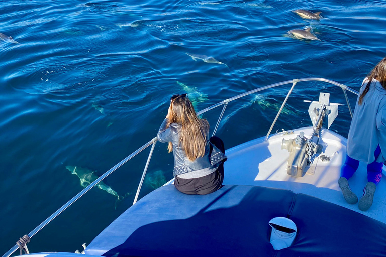 Málaga: Excursión en barco con snorkel, actividades acuáticas y almuerzo