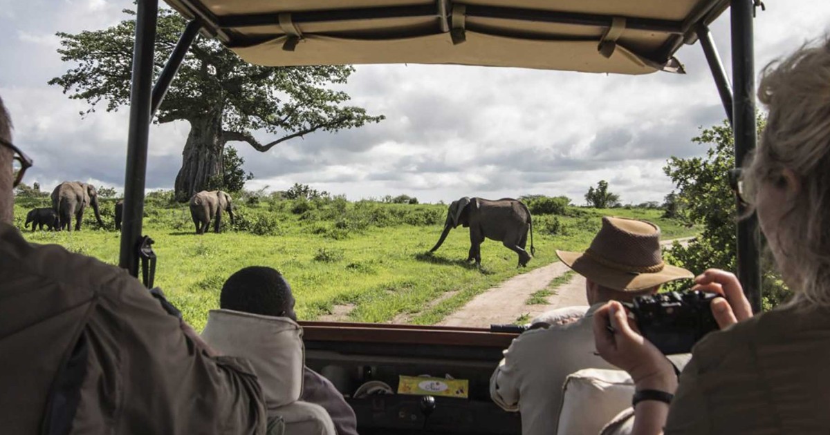 safari in kenya 7 giorni