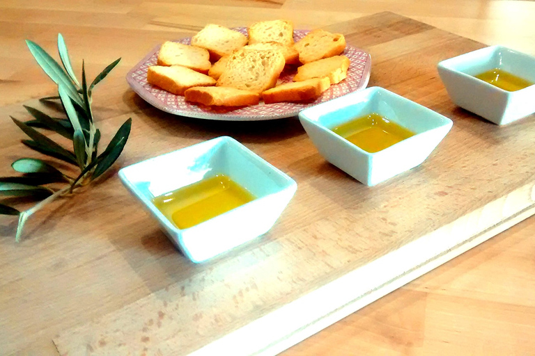 From Granada: Olive Oil Mill Excursion in the Lecrín Valley From Granada: Olive Oil Mill Excursion in the Lecrín Valley