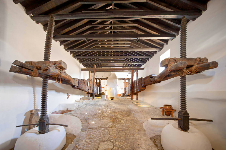 From Granada: Olive Oil Mill Excursion in the Lecrín Valley From Granada: Olive Oil Mill Excursion in the Lecrín Valley