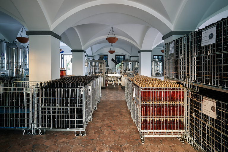 From Naples: Wine Tasting Tour on Vesuvius Slopes with Lunch