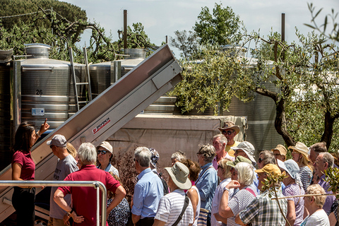 De Naples: visite de dégustation de vin avec déjeuner méditerranéen