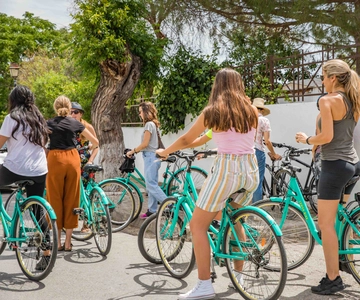 Carthage: Guided Bike Tour of the Archaeological Site