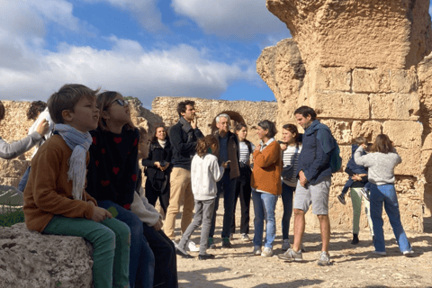 Carthage: visite guidée à vélo du site archéologique