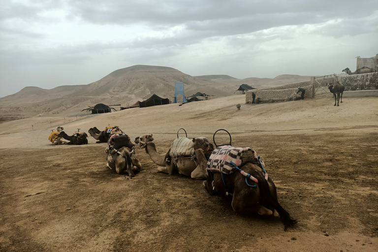 Quad Bike And Camel Ride In Agafay Desert with Lunch