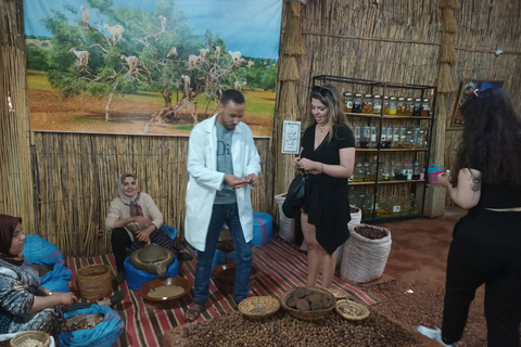 Gita di un giorno intero da Marrakech a Essaouira Mogador