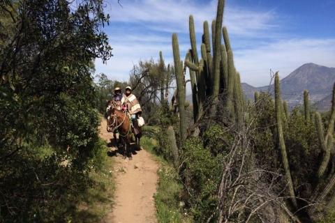 Uitlopers van de Andes Paardrijden - Halve dag