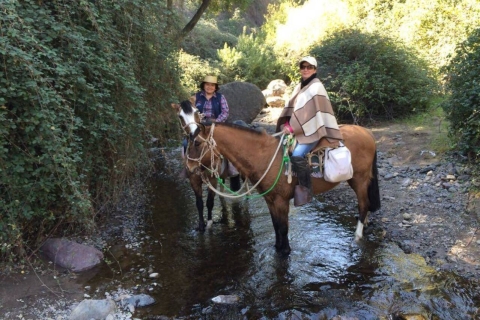 Randonnée à cheval dans les contreforts des Andes - demi-journéeRandonnée à cheval dans les contreforts des Andes - demi-journée + vin et fromage