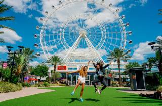 Orlando: Riesenradfahrt im ICON-Park + weitere Optionen