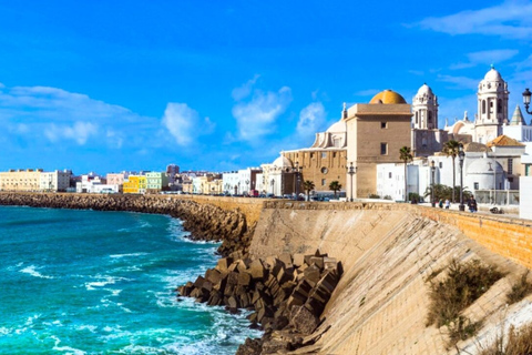 From Seville: Private Day Trip to Cádiz with Guide