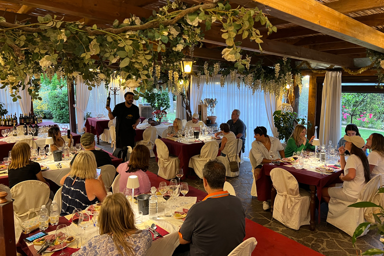 Florença: vinícolas, degustações, almoço e passeio de um dia em San GimignanoFlorença: viagem de um dia para degustação de comida e vinho Chianti