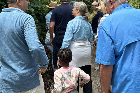 Prywatna wycieczka do Tangeru z Tarify obejmuje lunch