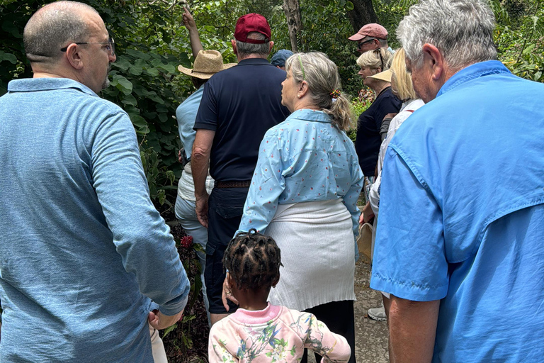 Visite privée de Tanger au départ de Tarifa, déjeuner comprisVisite privée de Tanger au départ de Tarifa avec déjeuner