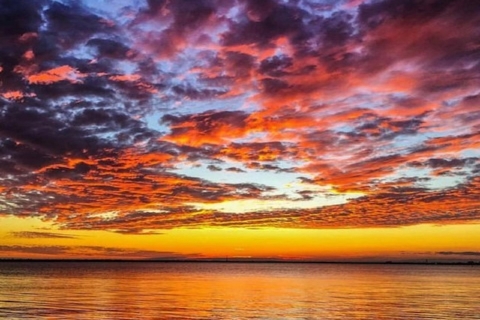 Charleston: havencruise bij zonsondergang