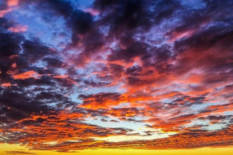 Charleston: Sunset Harbor Cruise