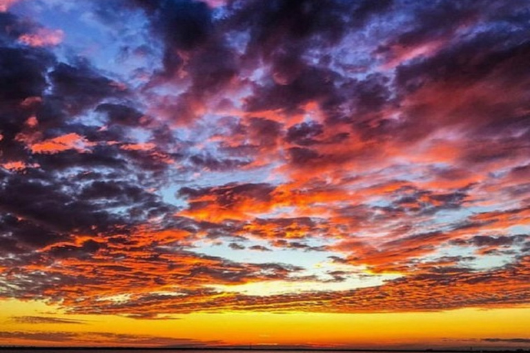 Charleston : Croisière sur le port au coucher du soleil